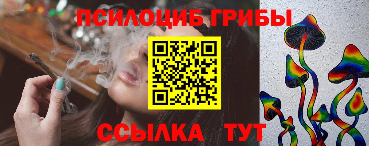 Хасавюрт  Галлюциногенные грибы GOLDEN TEACHER  Вход с VPN 