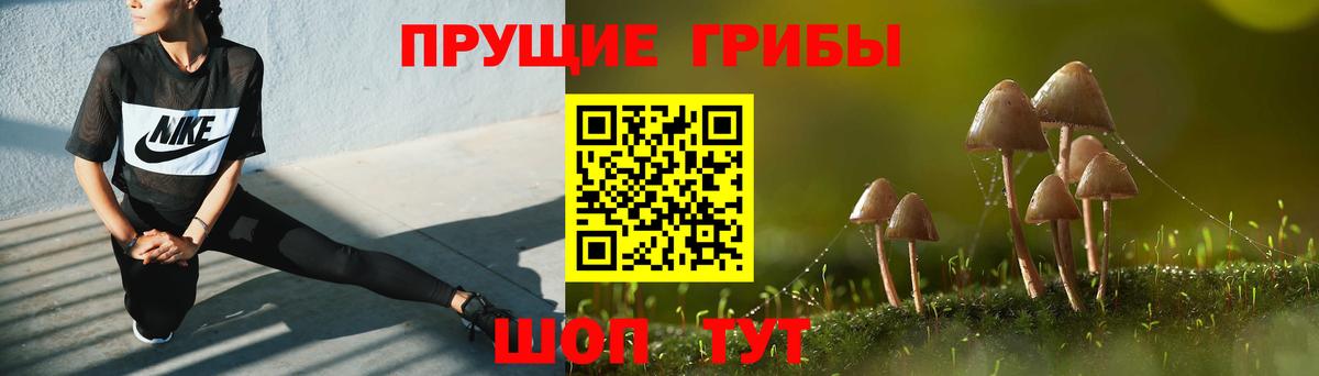 Псилоцибиновые грибы Magic Shrooms Хасавюрт